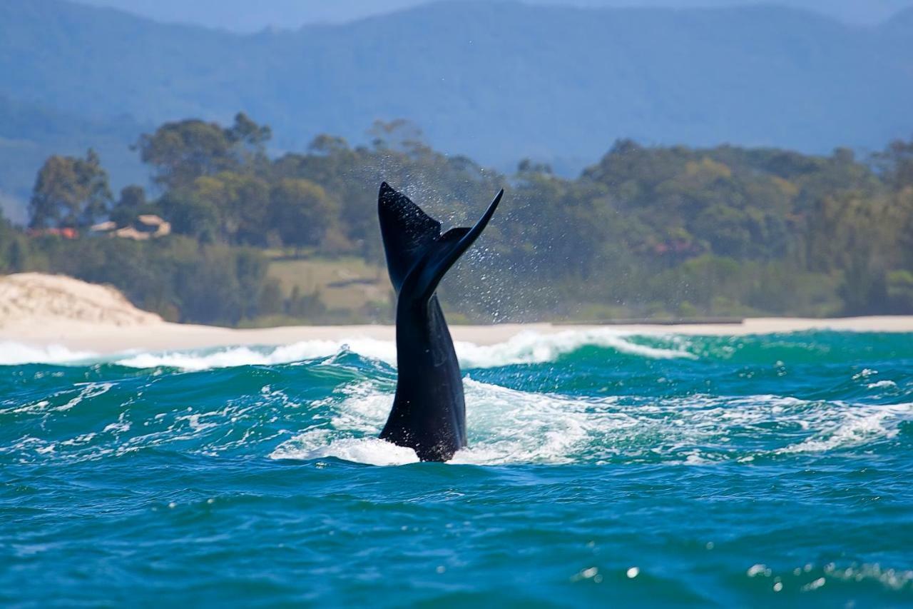 Pousada Vigia Das Mares - Vista Para O Mar, Localizada No Caminho Do Rei, Parte Mais Nobre Da ปรายาโดโฮซา ภายนอก รูปภาพ